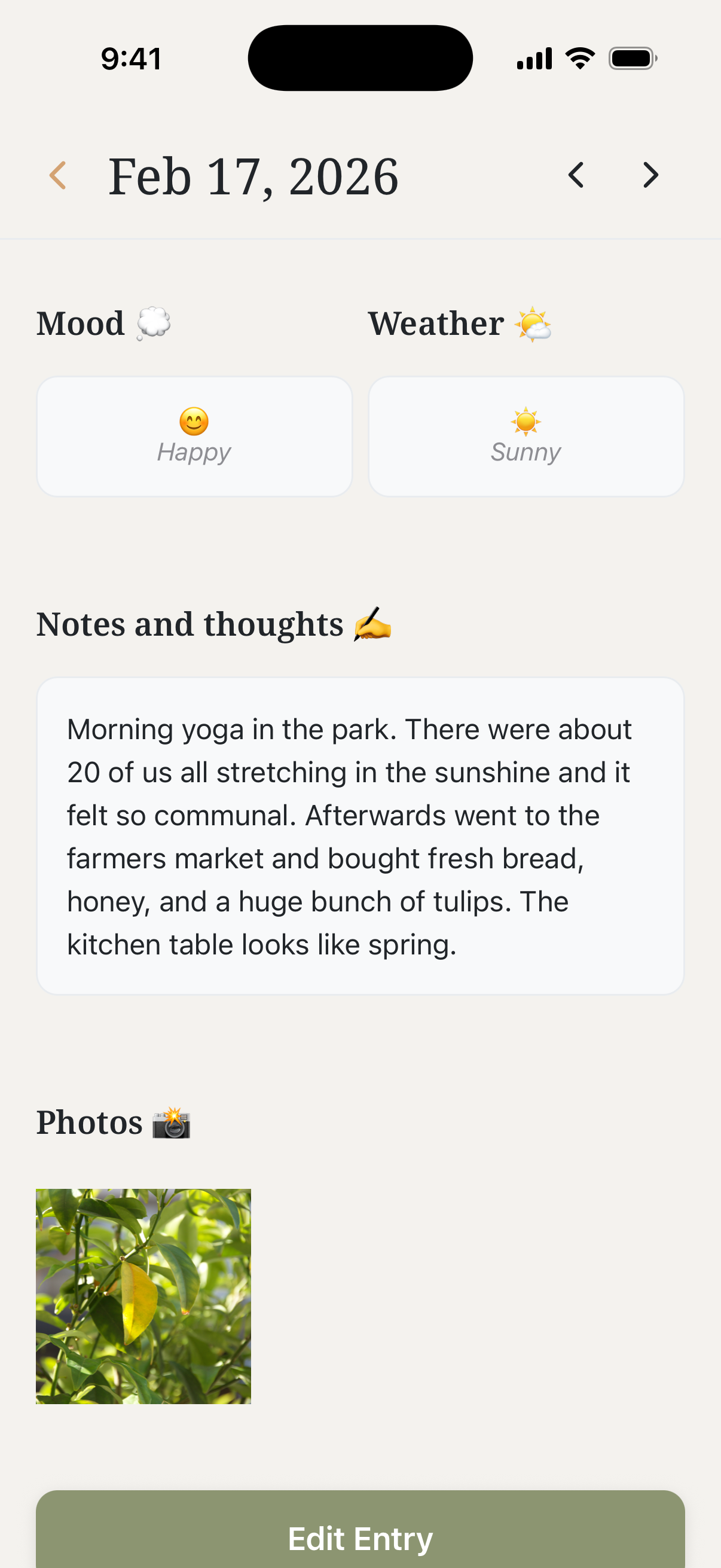 Opal app diary entry screen